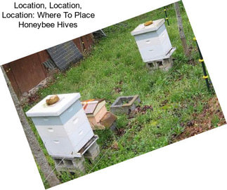 Location, Location, Location: Where To Place Honeybee Hives
