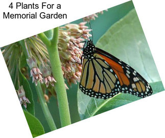 4 Plants For a Memorial Garden