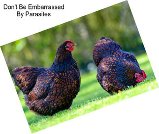 Don\'t Be Embarrassed By Parasites