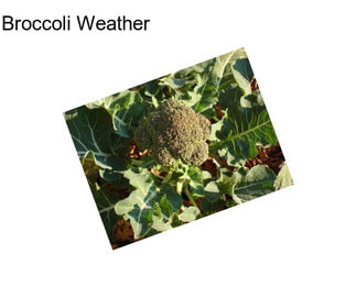 Broccoli Weather