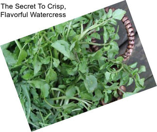 The Secret To Crisp, Flavorful Watercress