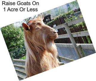 Raise Goats On 1 Acre Or Less