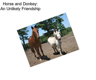 Horse and Donkey: An Unlikely Friendship
