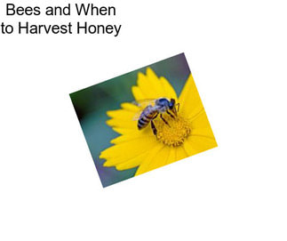 Bees and When to Harvest Honey