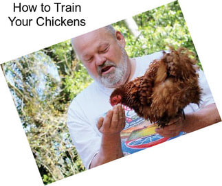 How to Train Your Chickens