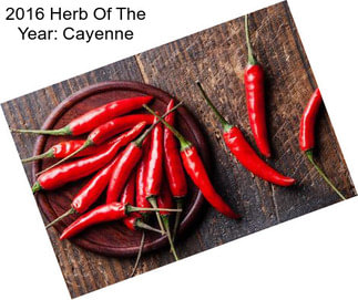 2016 Herb Of The Year: Cayenne