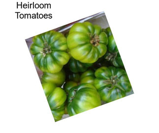 Heirloom Tomatoes