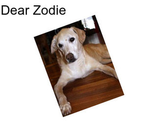 Dear Zodie