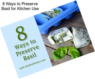 8 Ways to Preserve Basil for Kitchen Use