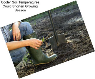 Cooler Soil Temperatures Could Shorten Growing Season