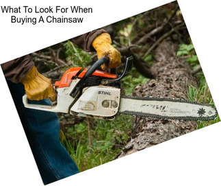 What To Look For When Buying A Chainsaw