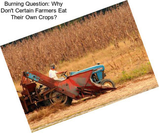 Burning Question: Why Don\'t Certain Farmers Eat Their Own Crops?