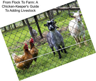 From Flock To Farm: A Chicken-Keeper\'s Guide To Adding Livestock