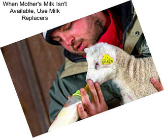 When Mother\'s Milk Isn\'t Available, Use Milk Replacers