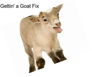 Gettin\' a Goat Fix