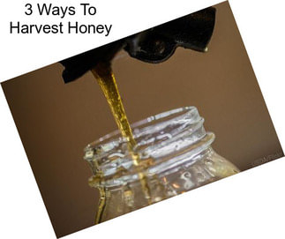 3 Ways To Harvest Honey