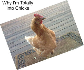 Why I\'m Totally Into Chicks