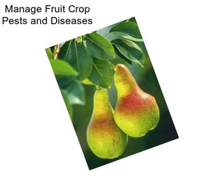 Manage Fruit Crop Pests and Diseases