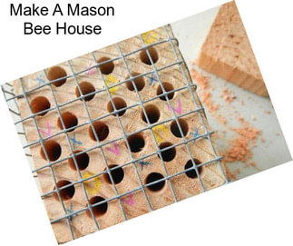 Make A Mason Bee House