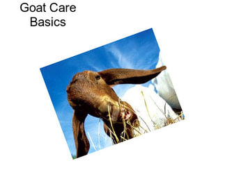 Goat Care Basics