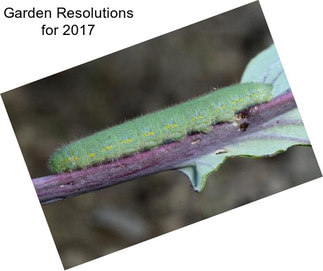 Garden Resolutions for 2017