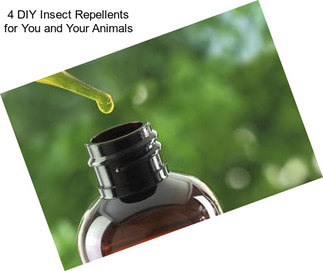 4 DIY Insect Repellents for You and Your Animals