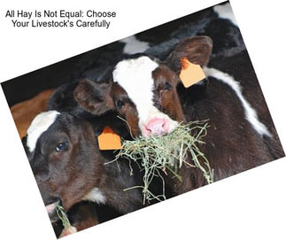 All Hay Is Not Equal: Choose Your Livestock\'s Carefully