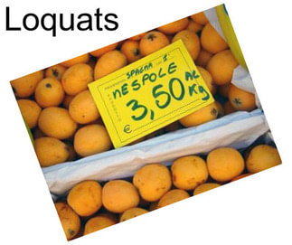 Loquats