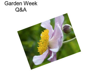 Garden Week Q&A