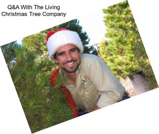 Q&A With The Living Christmas Tree Company