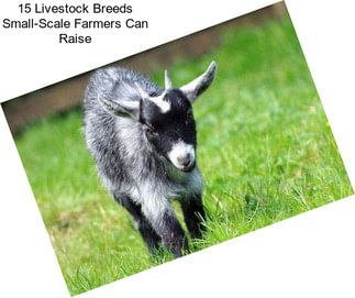 15 Livestock Breeds Small-Scale Farmers Can Raise