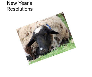 New Year\'s Resolutions