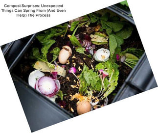 Compost Surprises: Unexpected Things Can Spring From (And Even Help) The Process