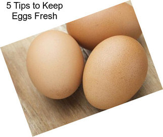 5 Tips to Keep Eggs Fresh