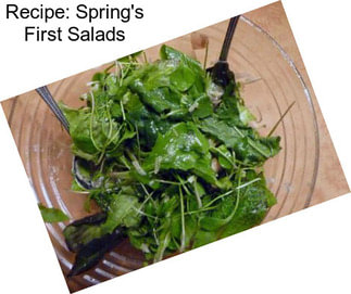 Recipe: Spring\'s First Salads