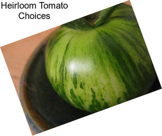 Heirloom Tomato Choices