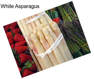 White Asparagus