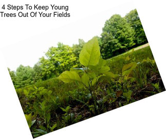 4 Steps To Keep Young Trees Out Of Your Fields