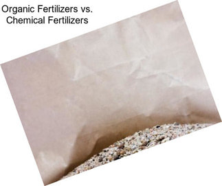 Organic Fertilizers vs. Chemical Fertilizers