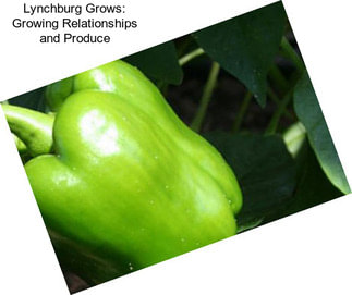 Lynchburg Grows: Growing Relationships and Produce