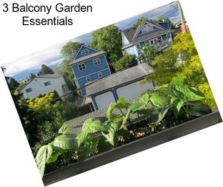 3 Balcony Garden Essentials