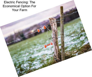 Electric Fencing: The Economical Option For Your Farm