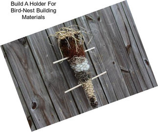 Build A Holder For Bird-Nest Building Materials