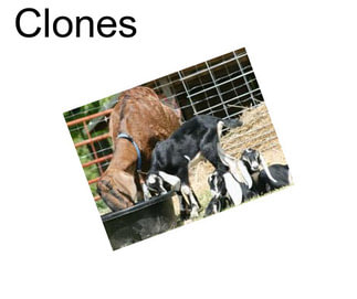 Clones