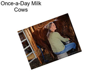 Once-a-Day Milk Cows