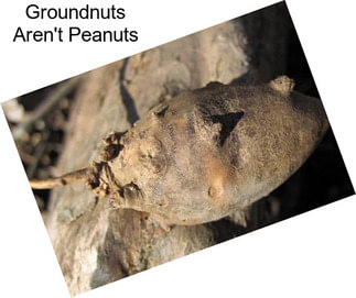 Groundnuts Aren\'t Peanuts