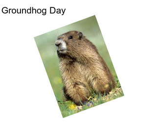 Groundhog Day