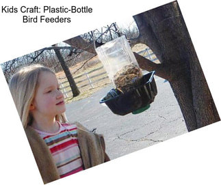 Kids Craft: Plastic-Bottle Bird Feeders