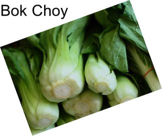 Bok Choy