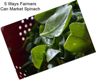 5 Ways Farmers Can Market Spinach